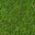 grass.png